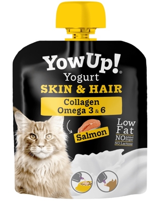 Picture of YowUp! Yogurt SKIN AND HAIR CAT